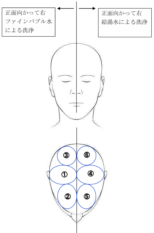 scalp-cleansing-test-setup